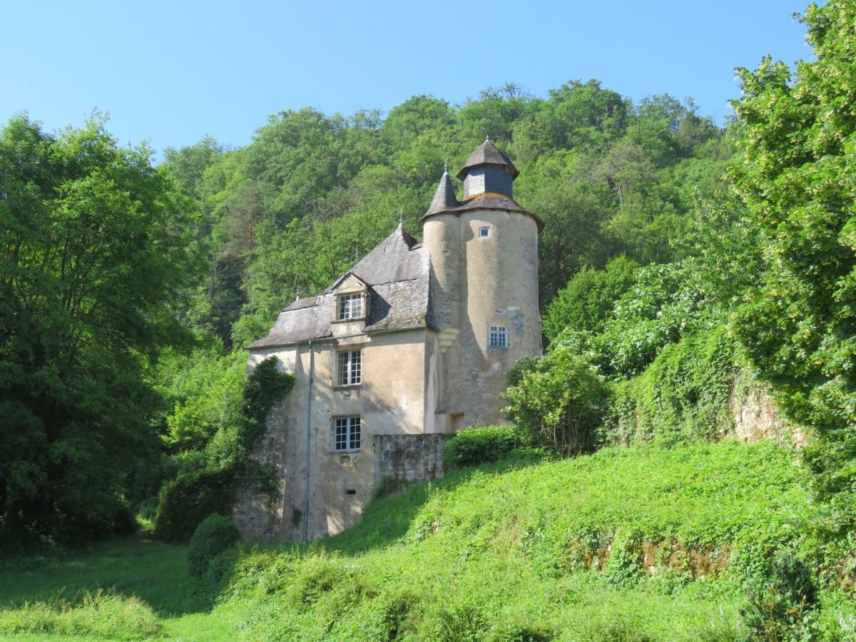 Bed and Breakfast Chateau De Gaubert Terrasson Zewnętrze zdjęcie