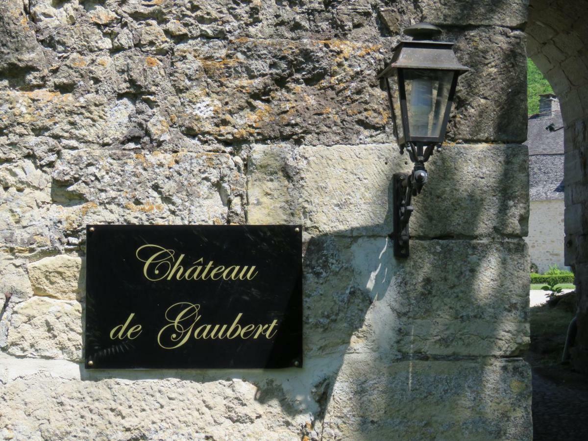 Bed and Breakfast Chateau De Gaubert Terrasson Zewnętrze zdjęcie